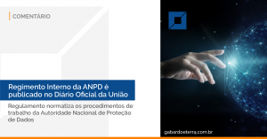 Regimento Interno da ANPD é publicado no Diário Oficial da União